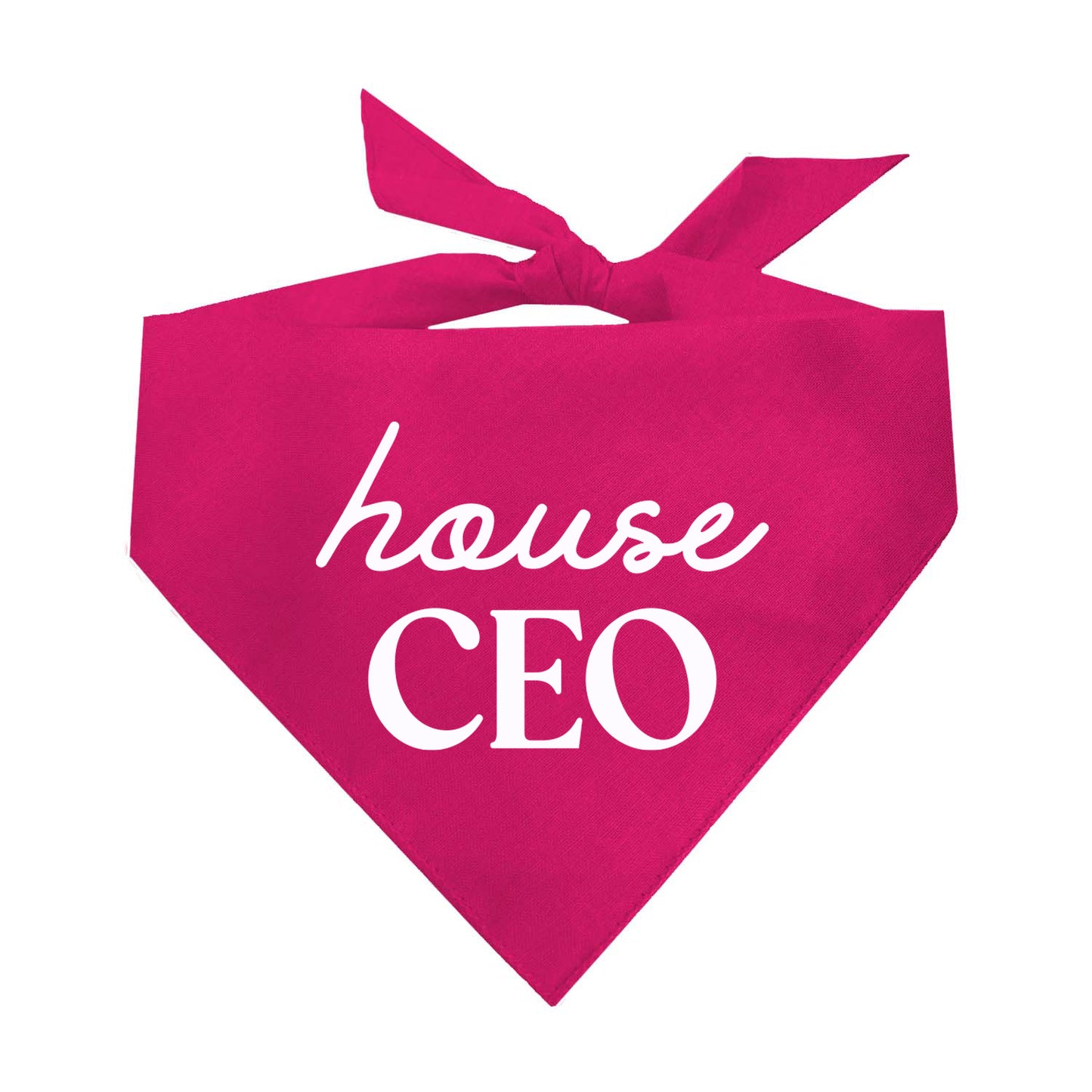House CEO Triangle Dog Bandana