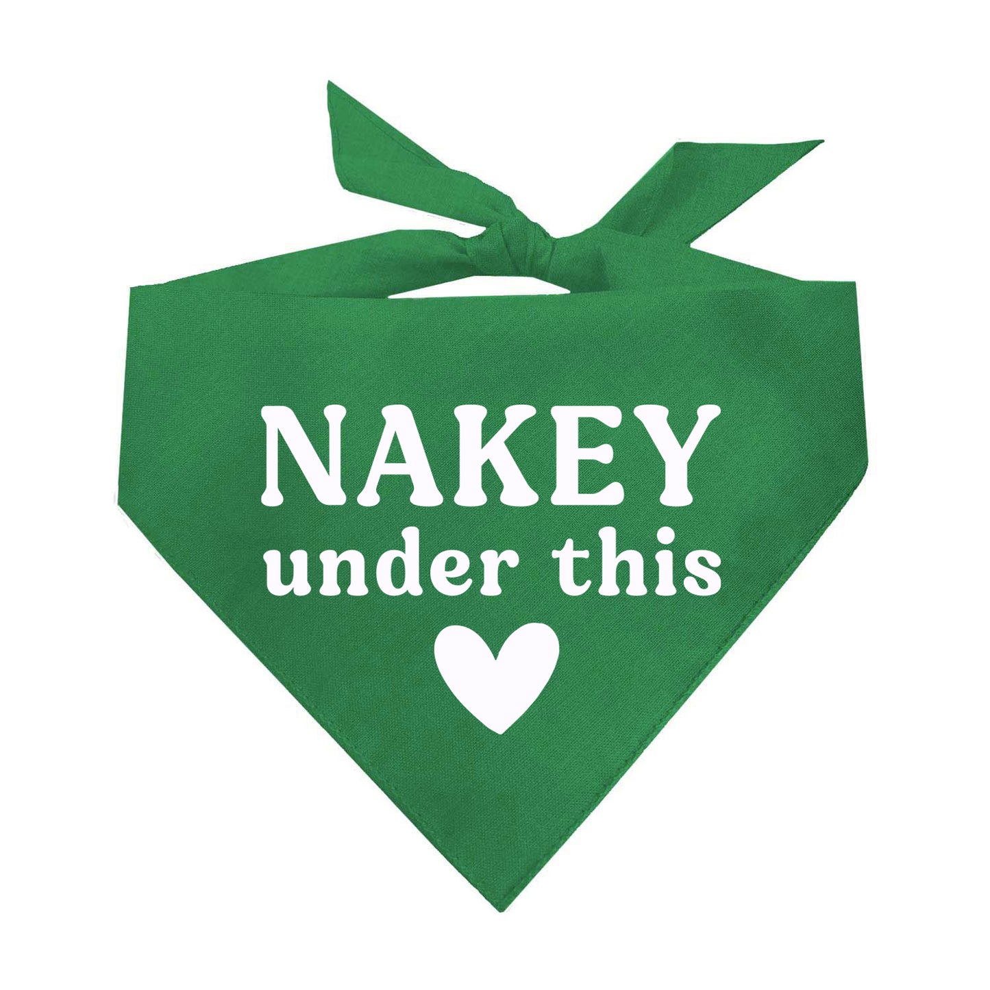 Nakey Under This Triangle Dog Bandana