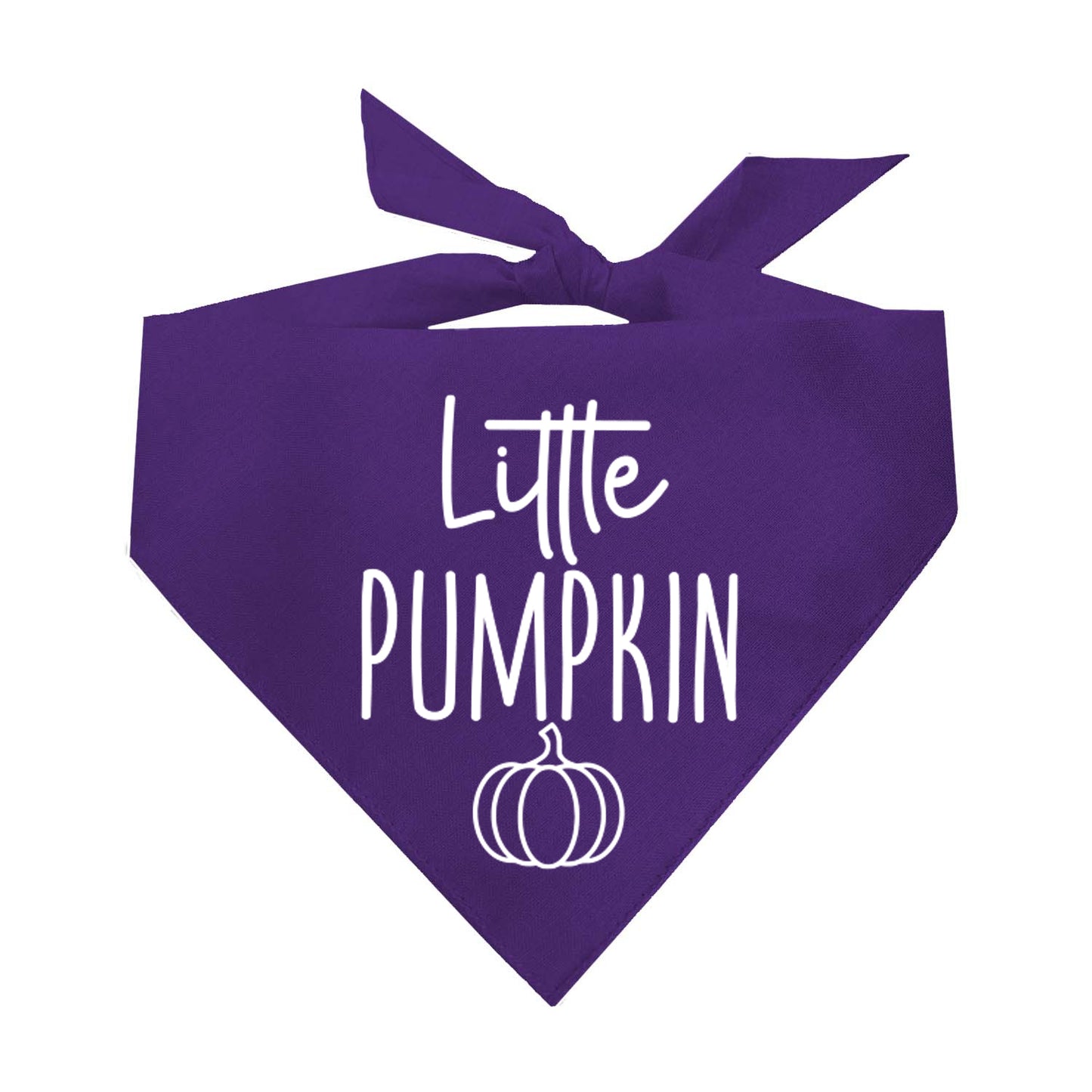 Little Pumpkin Fall Halloween Triangle Dog Bandana