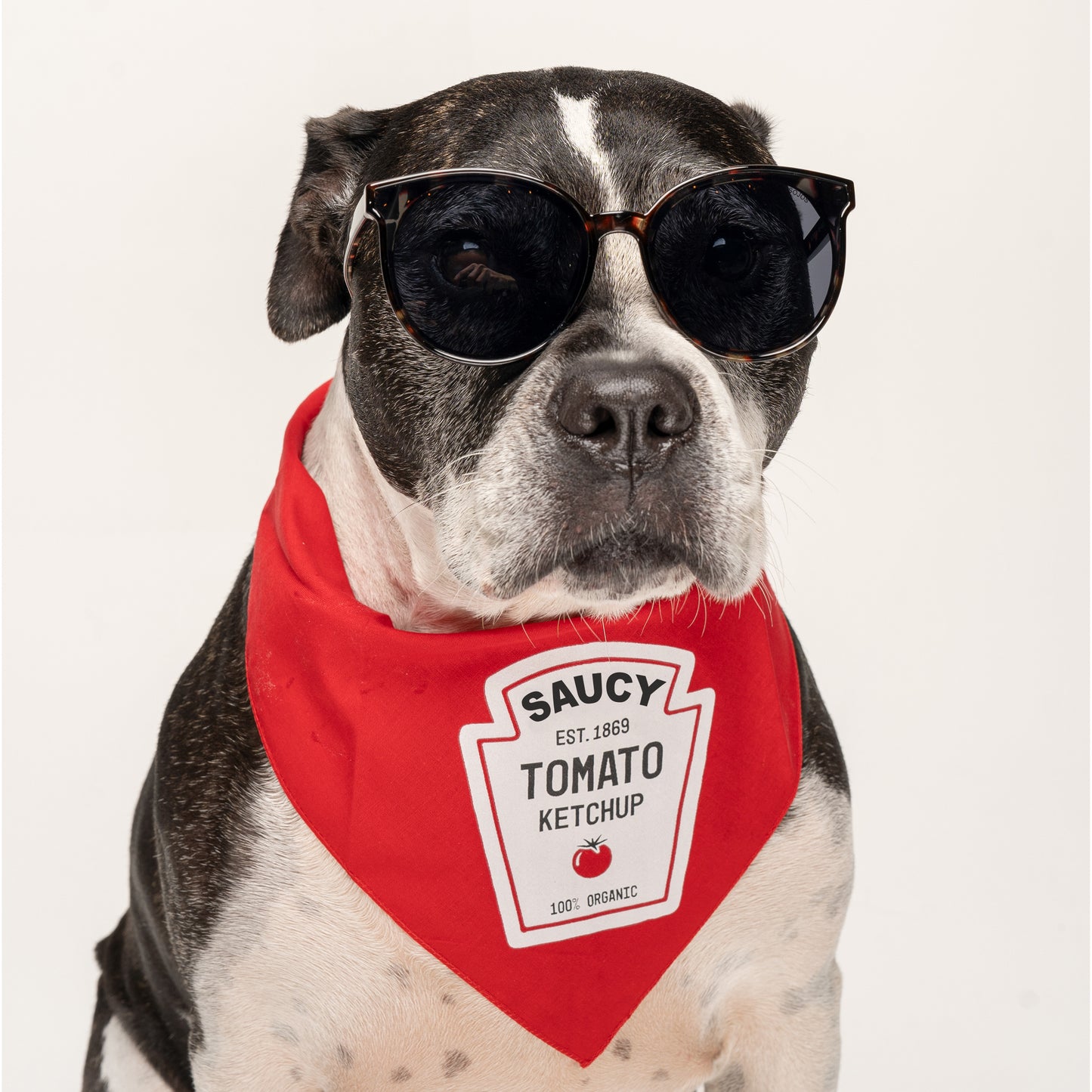 Ketchup, Mustard, Relish & BBQ Sauce Dog Bandana Set (4-Pack) | Funny Cookout Costume for Pets | Triangle Cotton Bandanas | Summer BBQ Dog Outfit