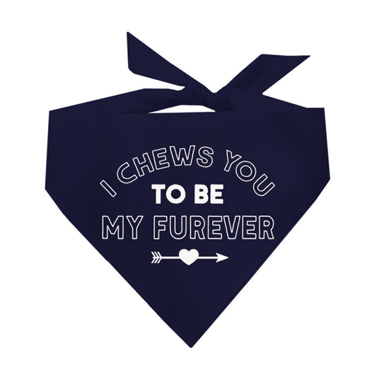 I Chews You To Be My Forever Valentine's Day Triangle Dog Bandana