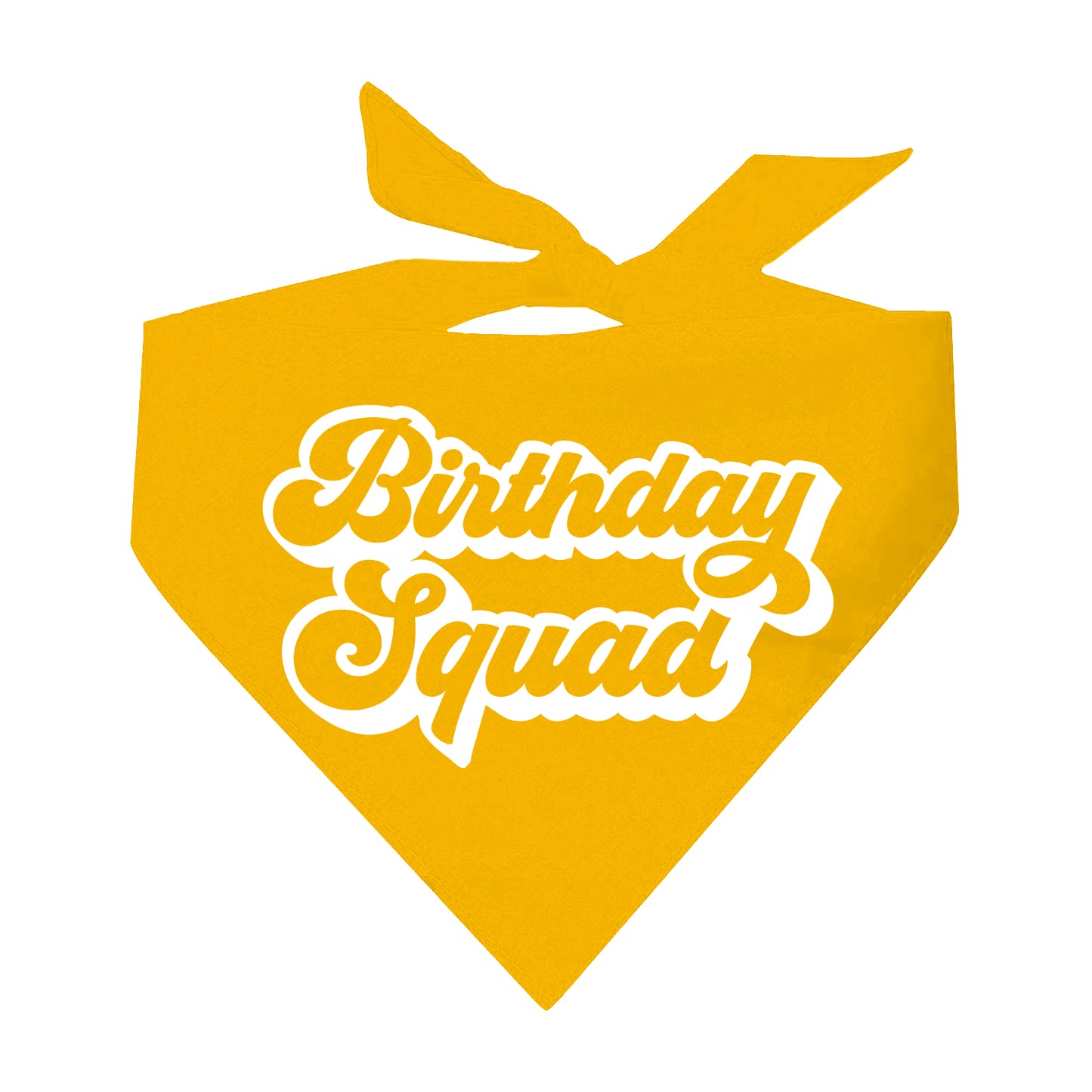 Birthday Squad Triangle Dog Bandana