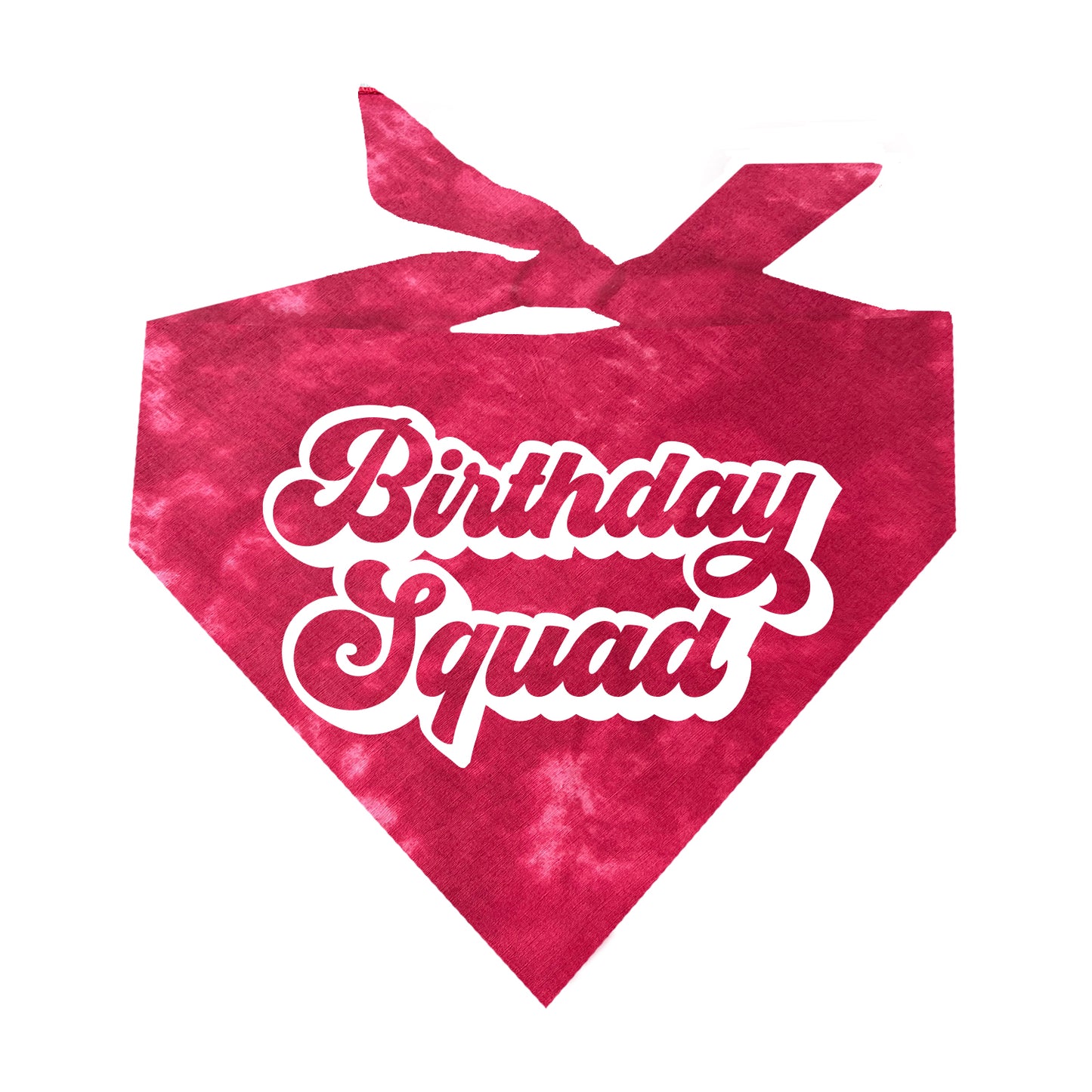Birthday Squad Triangle Dog Bandana