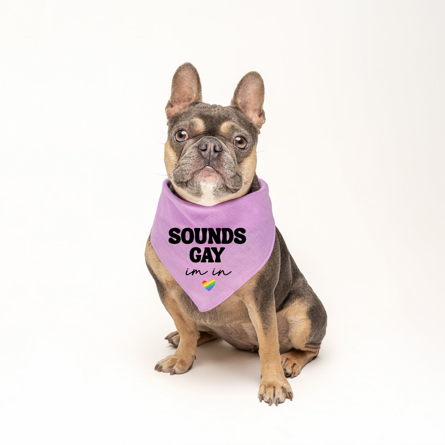 Sounds Gay I'm In (Pride) Triangle Dog Bandana