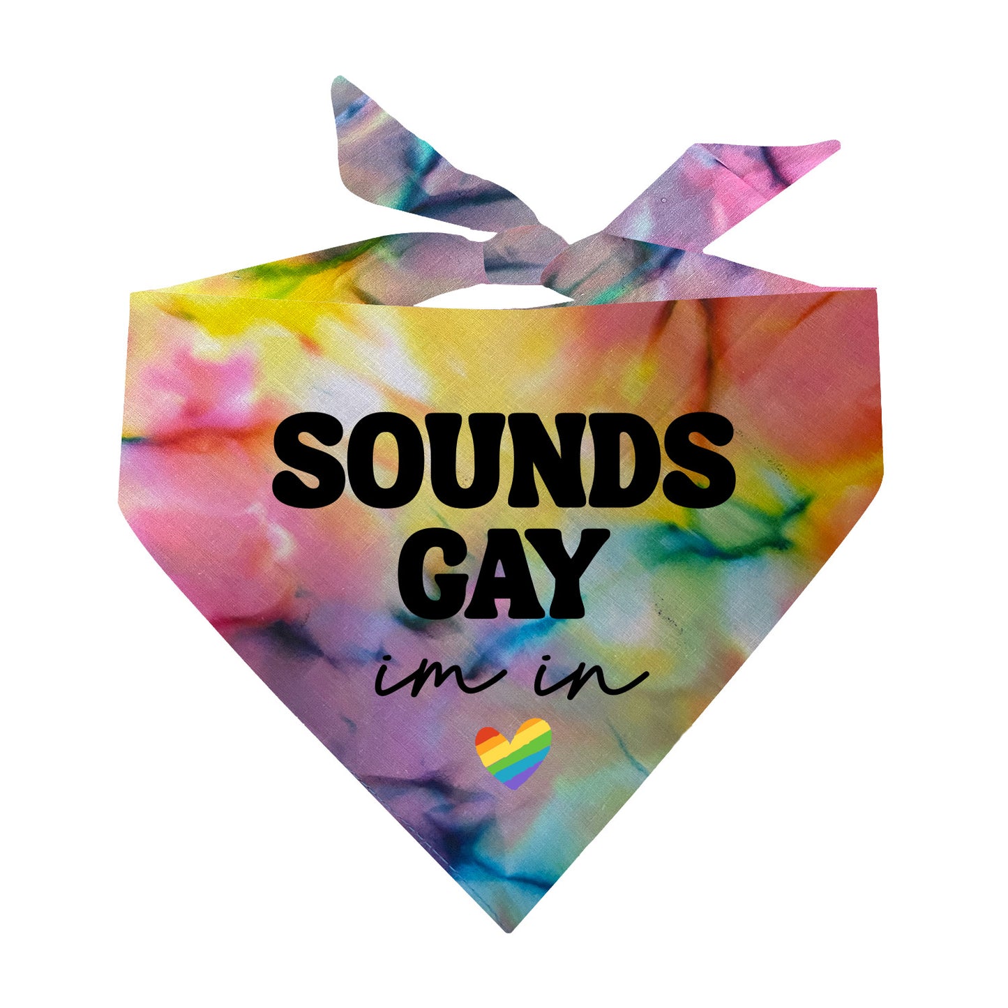 Sounds Gay I'm In (Pride) Triangle Dog Bandana