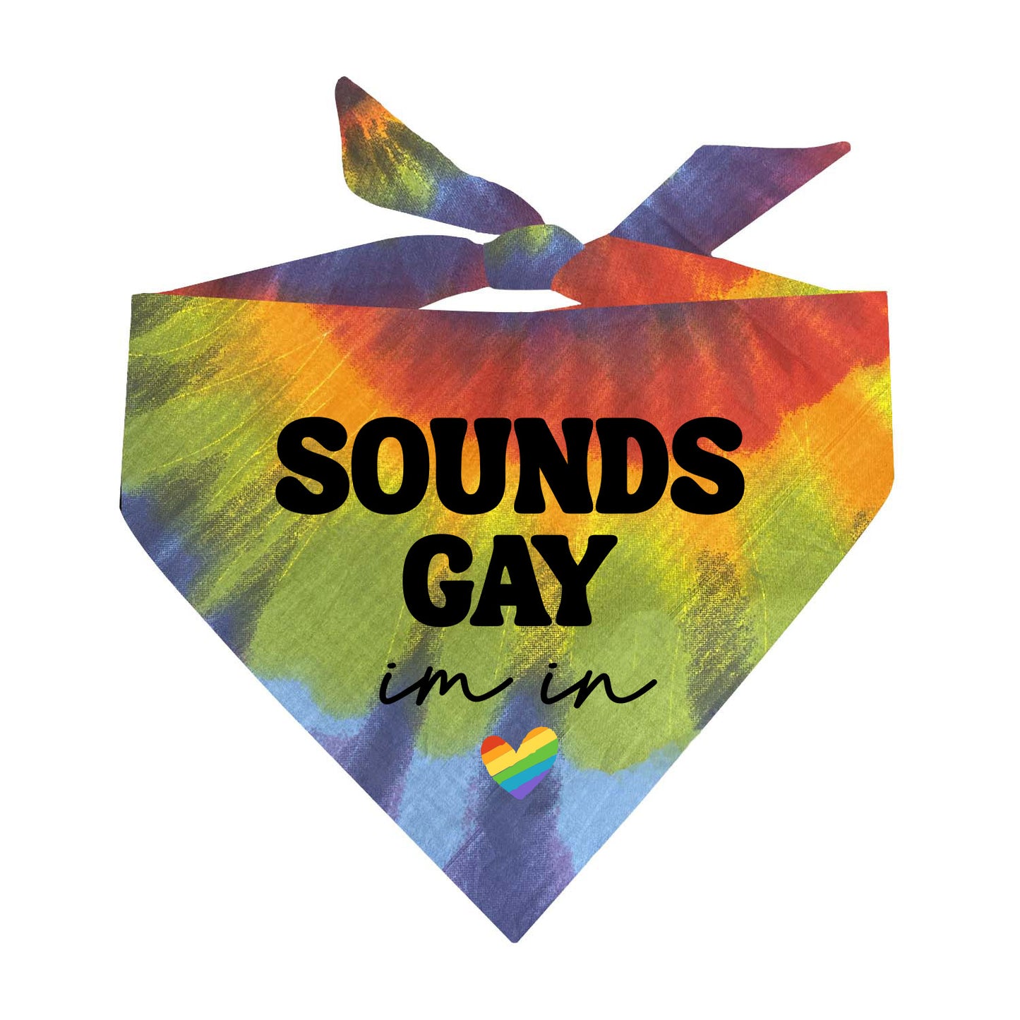 Sounds Gay I'm In (Pride) Triangle Dog Bandana