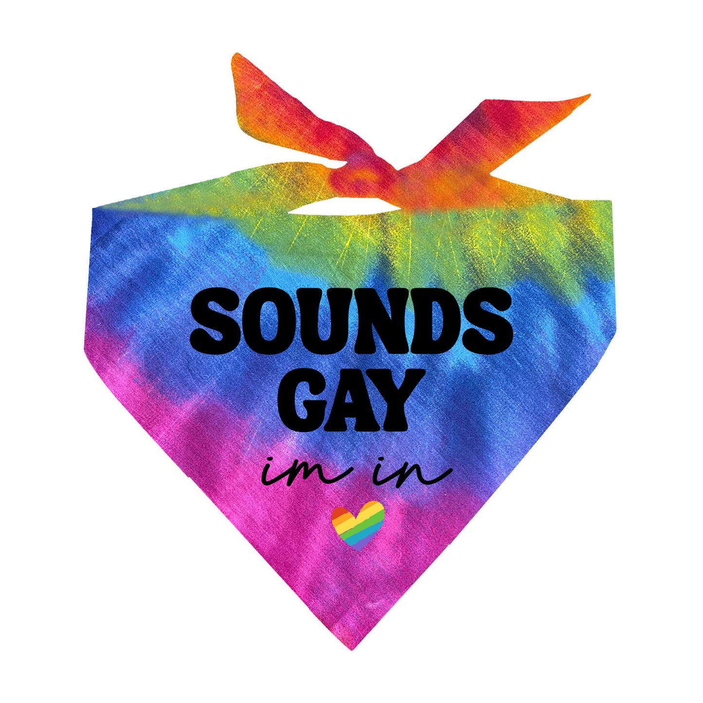 Sounds Gay I'm In (Pride) Triangle Dog Bandana