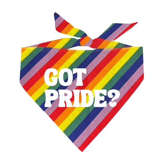 GOT PRIDE? (Pride) Triangle Dog Bandana