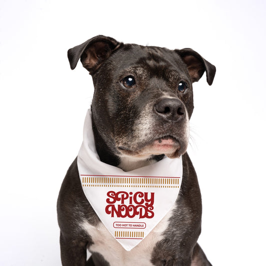 Spicy Noods Dog Bandana | 100% Natural Cotton Triangle | Made in USA | Funny Ramen Costume for Dogs