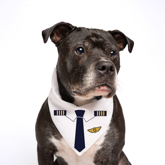 Pilot Dog Bandana | 100% Natural Cotton Triangle | Made in USA | Airplane Costume for Dogs | Halloween & Travel-Themed Pet Outfit