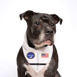 PAWSA Dog Bandana | 100% Cotton Triangle | Made in USA | Space Pup Costume | Funny Astronaut-Inspired Dog Outfit