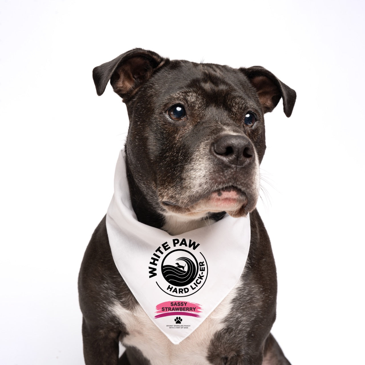 White Paw Dog Bandana | 100% Natural Cotton Triangle | Made in USA | Hard Seltzer Spoof Costume for Dogs | Funny Pet Outfit for Parties & Photos