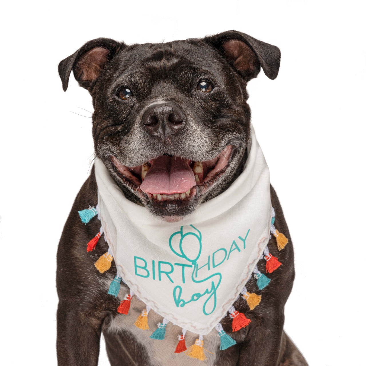 Birthday Boy Dog Bandana – Puff Print with Colorful Fringe | Natural Cotton Birthday Pet Accessory