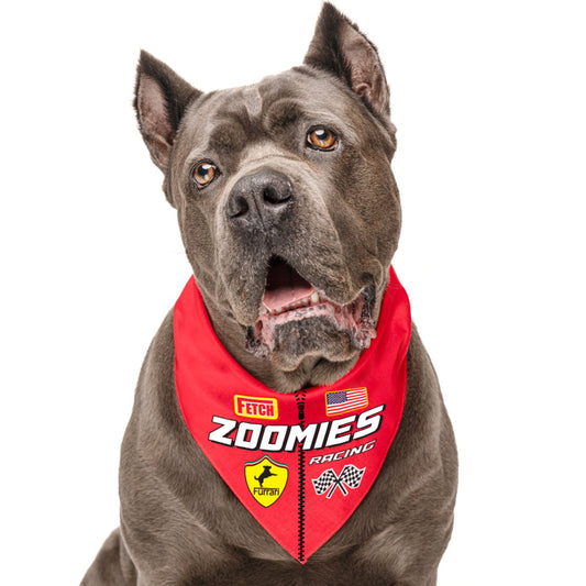 Zoomies Racecar Driver Dog Bandana | 100% Natural Cotton Triangle | Made in USA | Funny Race-Themed Pet Costume