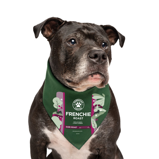 Frenchie Roast Dog Bandana | 100% Natural Cotton Triangle | Made in USA | Funny Coffee-Themed Pet Costume