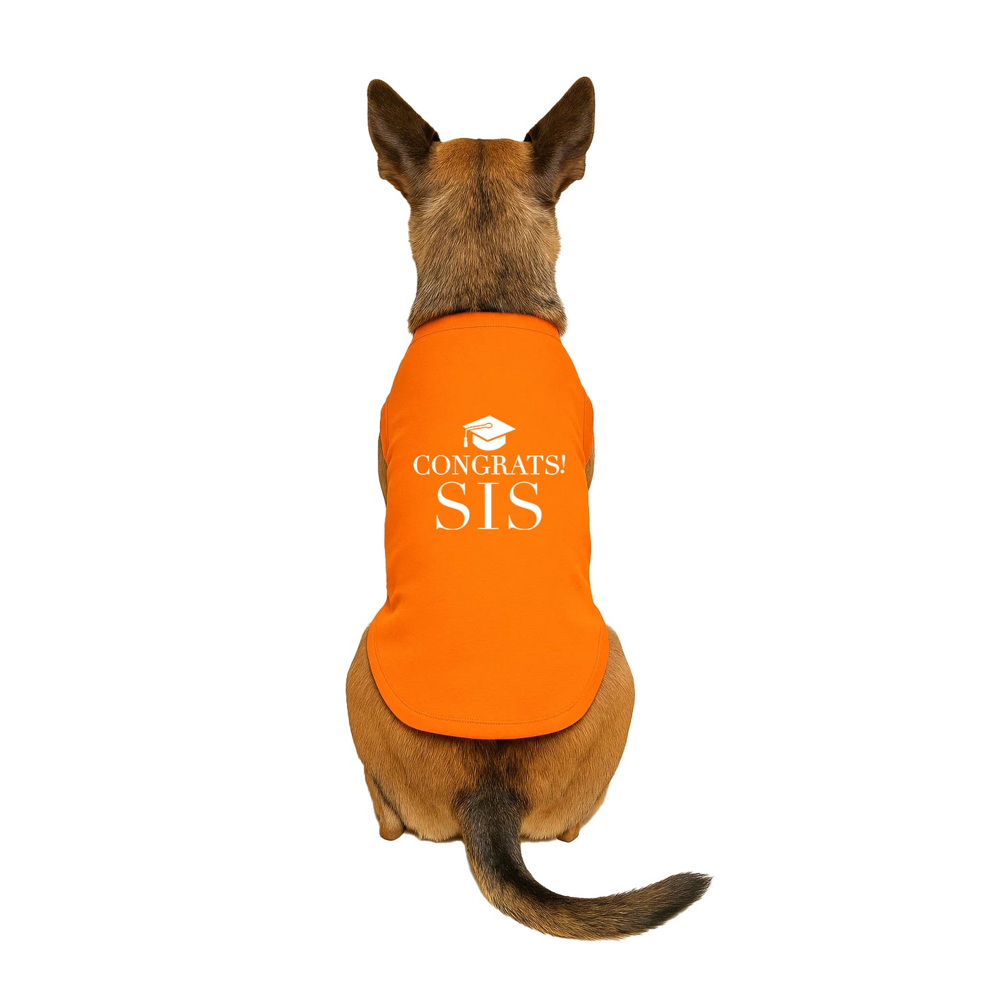 Congrats Sis Dog Tee | Graduation Dog Shirt