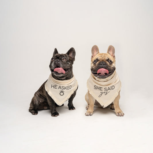 She Said Yes! Boho Dog Wedding Bandana – Natural Cotton with Puff Print & Fringe Trim | Engagement or Proposal Pet Accessory