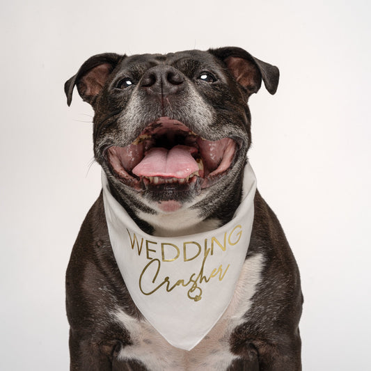 Wedding Crasher – Dog Bandana | Metallic Print | Funny Wedding Pet Accessory | Soft Cotton Triangle