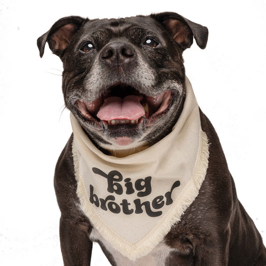 Big Brother Dog Bandana – Baby Announcement Pet Accessory with Puff Print & Boho Fringe | Natural Cotton