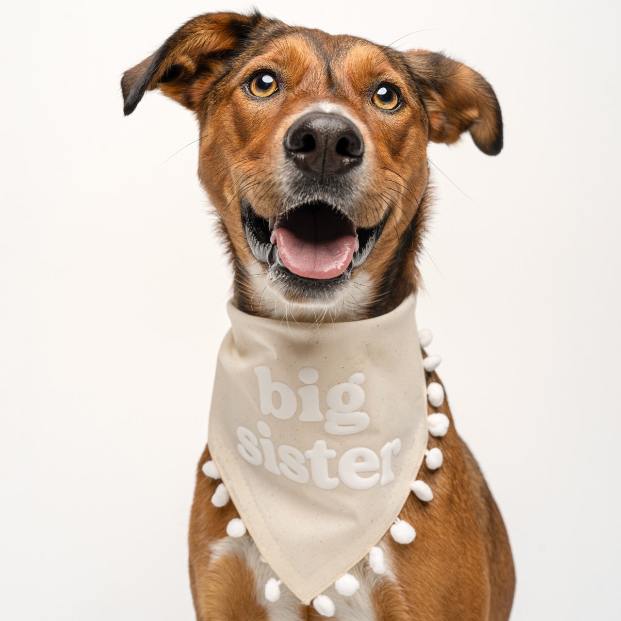 Big Sister Boho Dog Bandana – Baby Announcement Pet Accessory with Puff Print & Pom Pom Trim