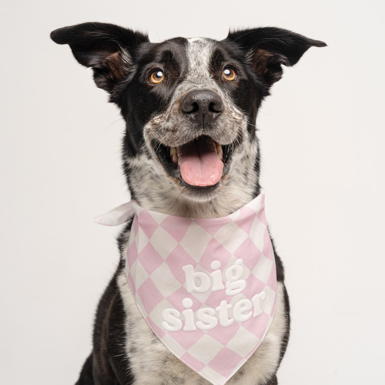Big Sister Dog Bandana – Pink Checkered Baby Announcement with Puff Print | Gender Reveal Pet Accessory