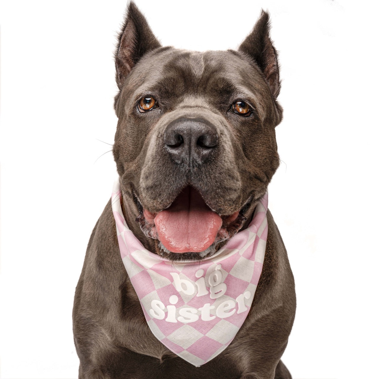 Big Sister Dog Bandana – Pink Checkered Baby Announcement with Puff Print | Gender Reveal Pet Accessory