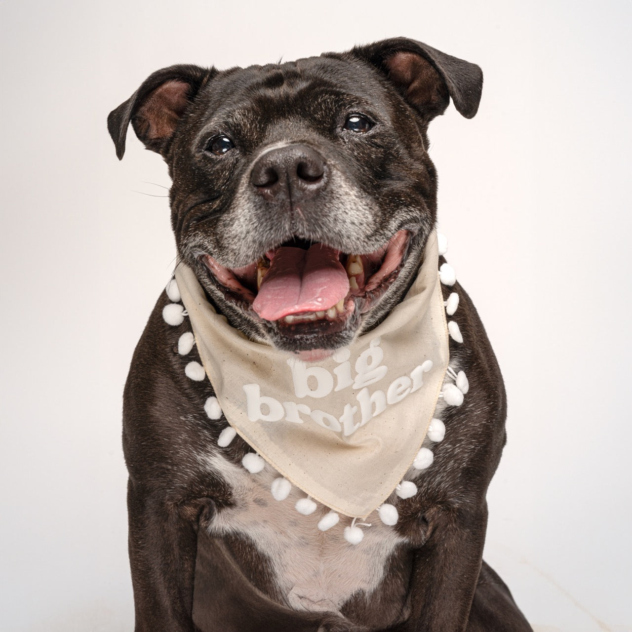 Big Brother Boho Dog Bandana – Baby Announcement Pet Accessory with Puff Print & Pom Pom Trim