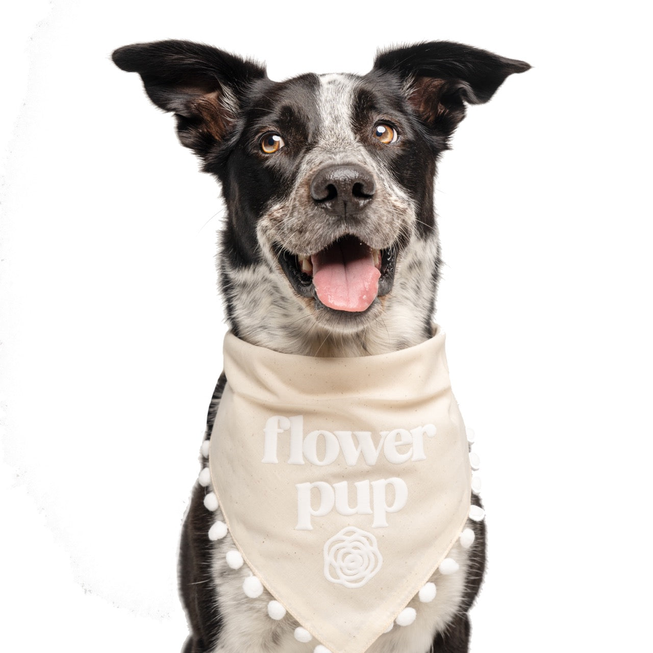 Flower Pup Dog Bandana โ Wedding & Bridal Party Accessory with Fringe Trim & Puff Print | Natural Cotton