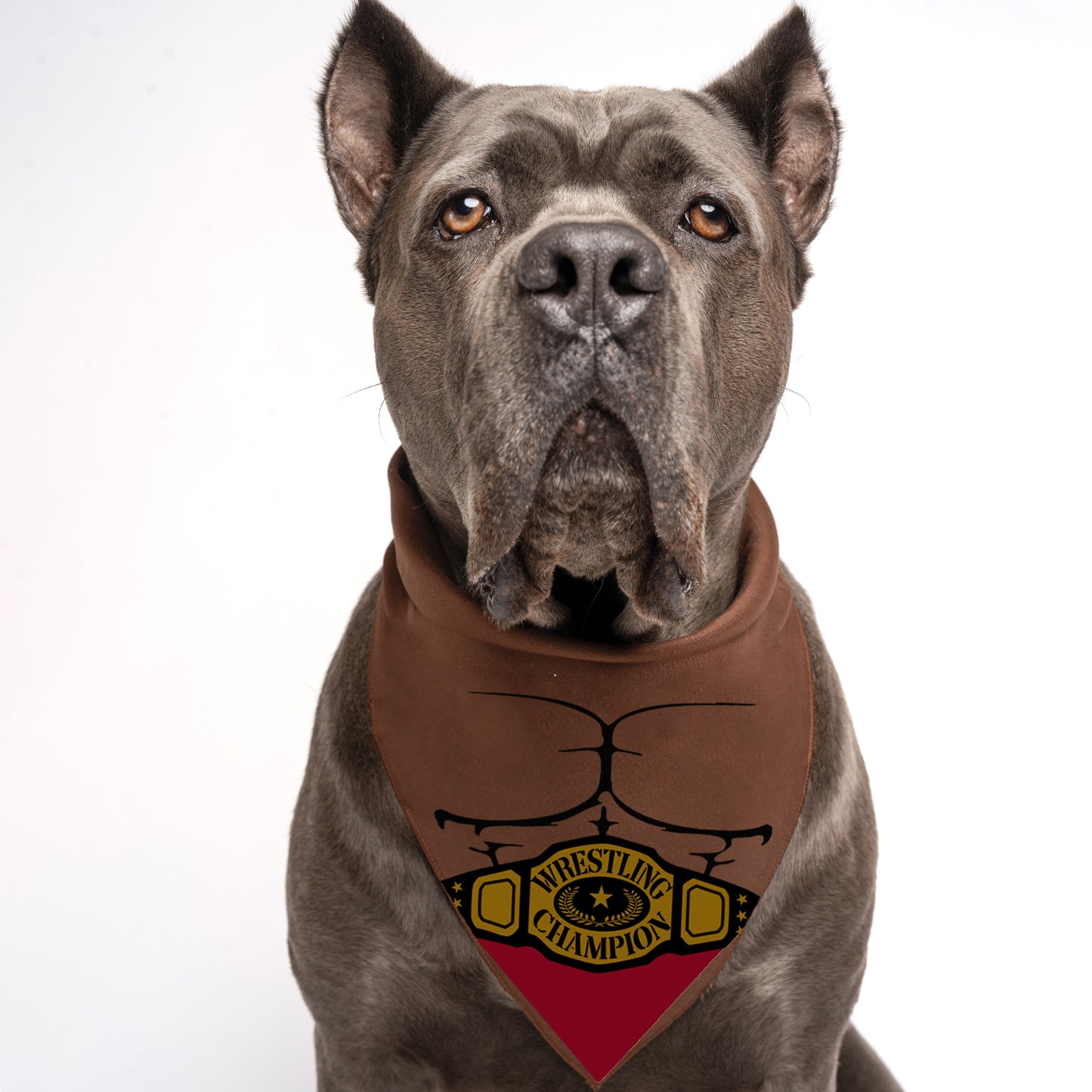 Wrestling Champion Dog Bandana | 100% Natural Cotton Triangle | Made in USA | Funny Sports-Themed Pet Costume