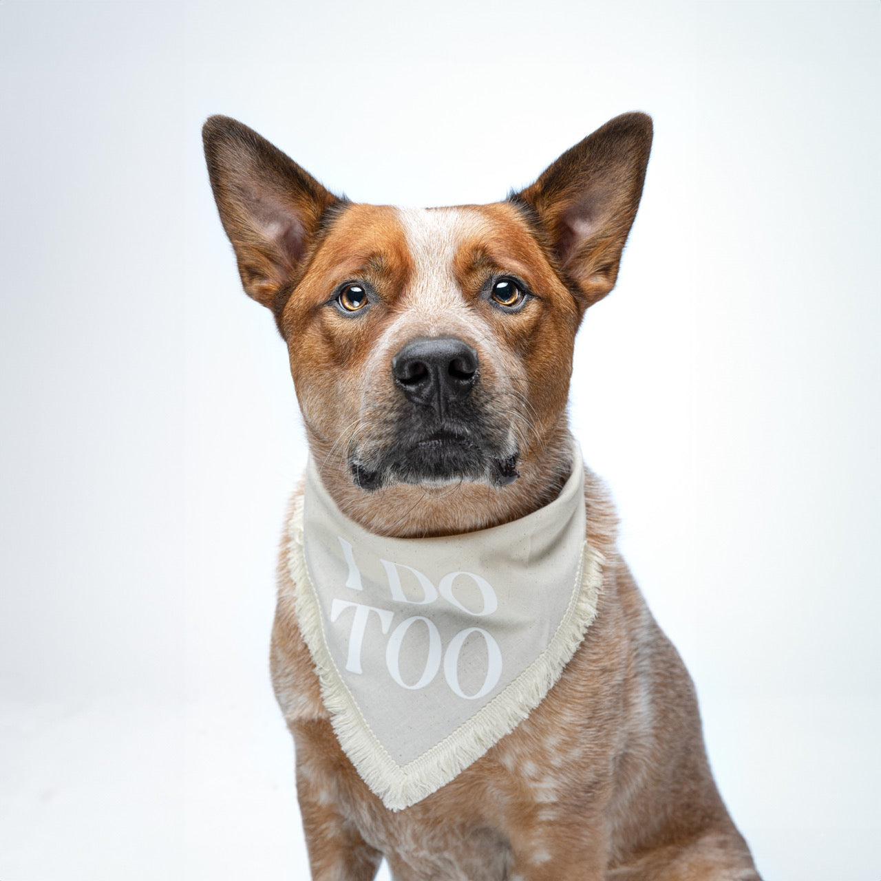 I Do Too! Boho Dog Wedding Bandana – Natural Cotton with Puff Print & Fringe Trim | Engagement or Proposal Pet Accessory