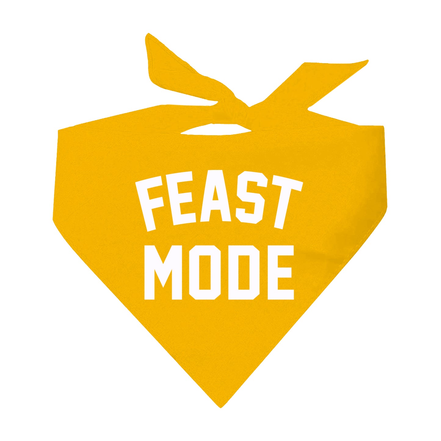 Feast Mode Triangle Dog Bandana (Assorted Fall Colors)