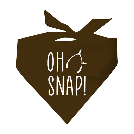 Oh Snap Triangle Dog Bandana (Assorted Fall Colors)