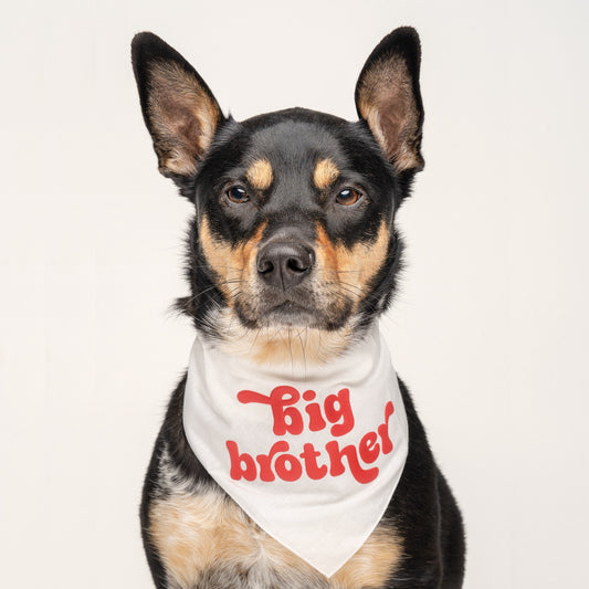 Big Brother Dog Bandana – Red Puff Print | Baby Announcement Pet Accessory
