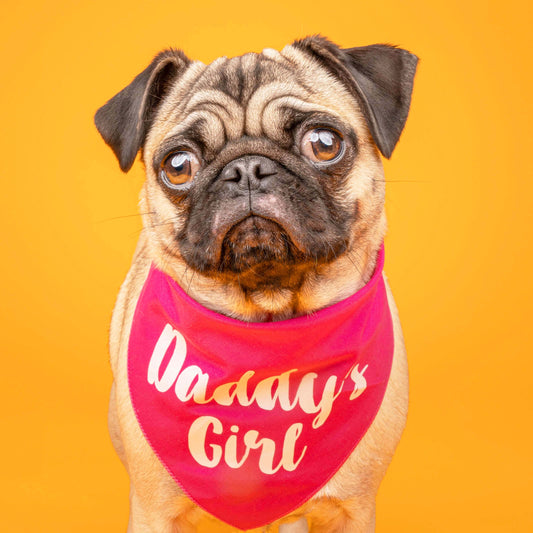 Daddy's Girl Triangle Dog Bandana