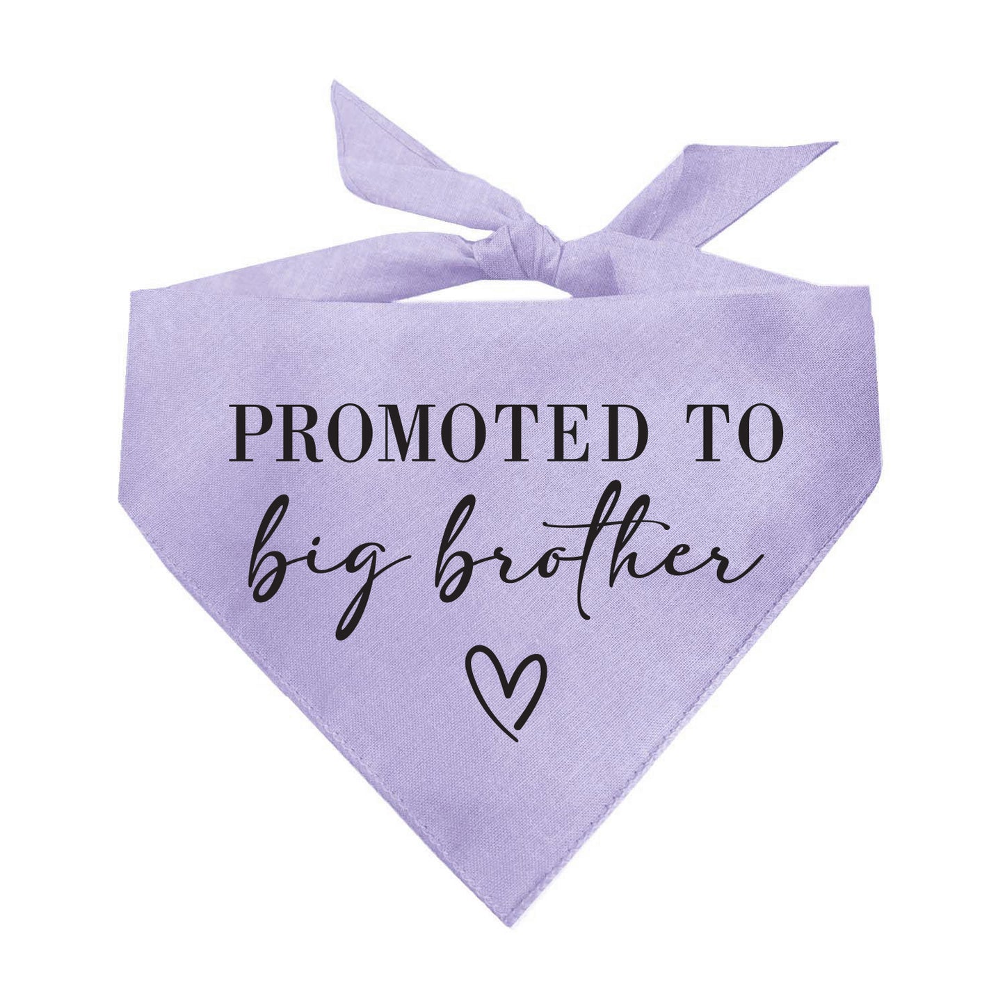 Promoted to Big Brother β Dog Bandana | Pregnancy Announcement | Soft Cotton Triangle | New Baby Reveal Dog Accessory