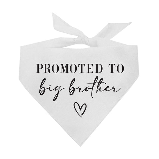 Promoted to Big Brother – Dog Bandana | Pregnancy Announcement | Soft Cotton Triangle | New Baby Reveal Dog Accessory
