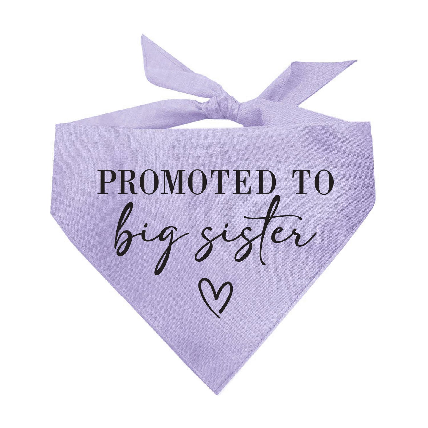 Promoted to Big Sister β Dog Bandana | Baby Announcement Accessory | Soft Cotton Triangle | Perfect for Pregnancy Reveals