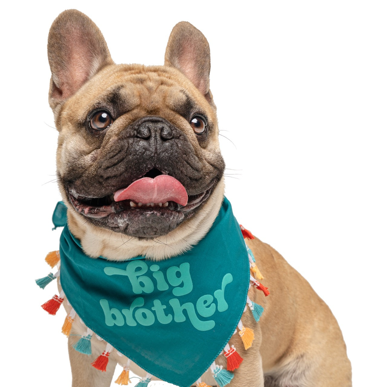 Big Brother Dog Bandana – Baby Announcement with Puff Print with Colorful Fringe | Natural Cotton Pet Accessory