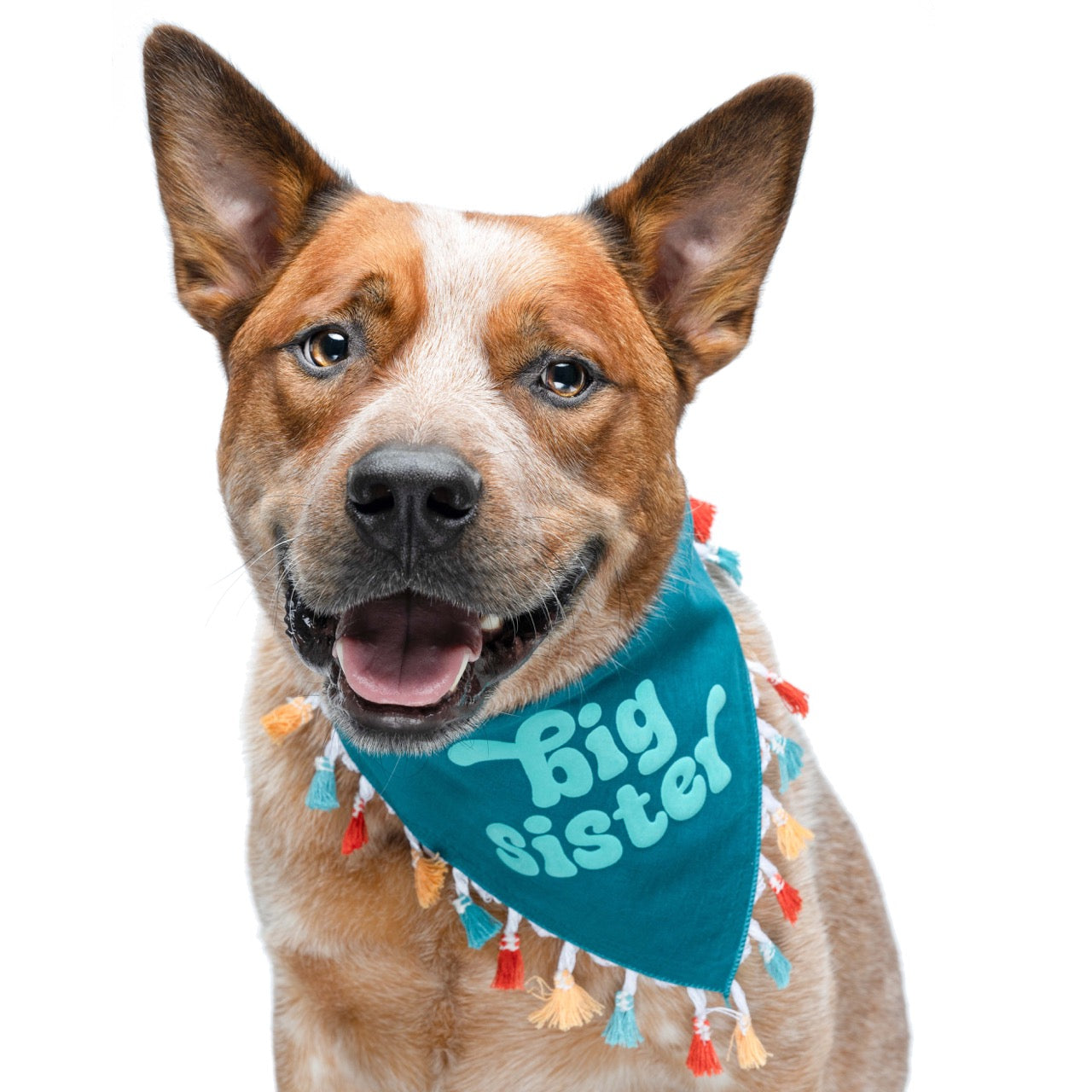 Big Sister Dog Bandana – Baby Announcement with Puff Print with Colorful Fringe | Natural Cotton Pet Accessory