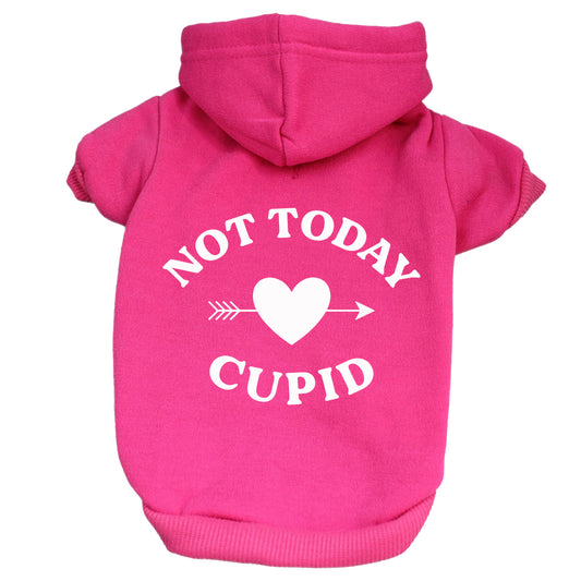 Not Today Cupid Valentine's Day Dog Hoodie