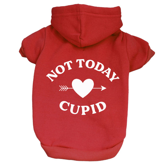 Not Today Cupid Valentine's Day Dog Hoodie