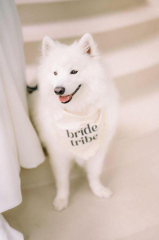 Bride Tribe Boho Dog Wedding Bandana – Natural Cotton with Puff Print & Fringe Trim | Engagement or Proposal Pet Accessory