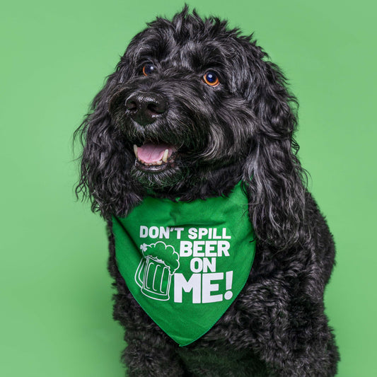 Don't Spill Beer On Me St.Patrick's Day Triangle Dog Bandana