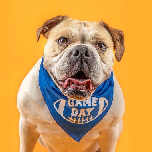 Game Day Football Triangle Dog Bandana