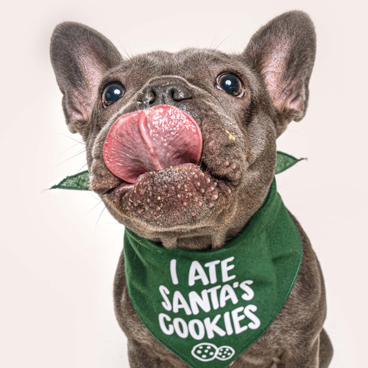 I Ate Santa's Cookies Funny Christmas Dog Bandana