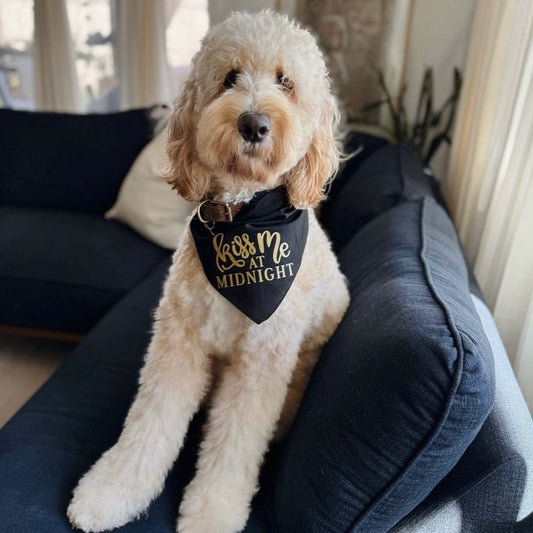 Kiss Me at Midnight – Dog Bandana | New Year’s Eve Pet Accessory | Soft Cotton Triangle | Holiday Party Bandana