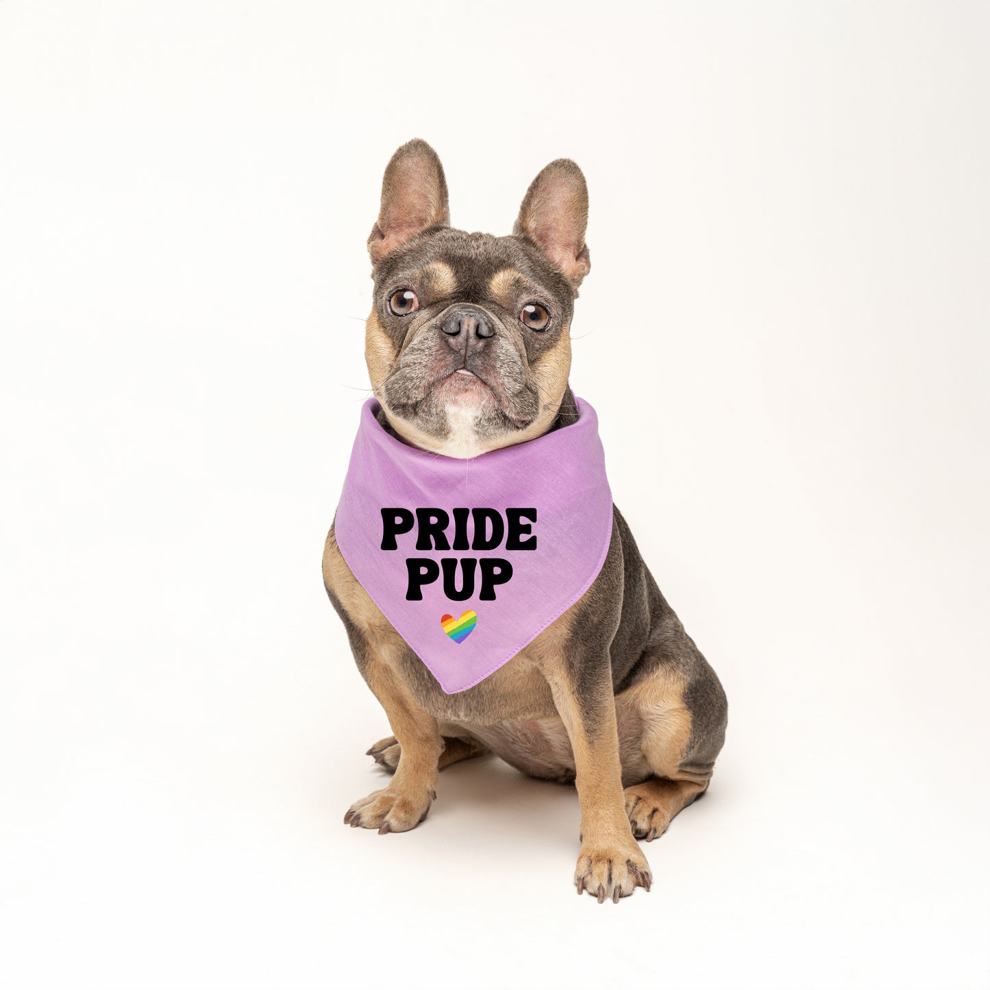 Pride Pup (Pride) Triangle Dog Bandana