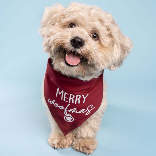 Merry Woofmas Christmas Triangle Dog Bandana