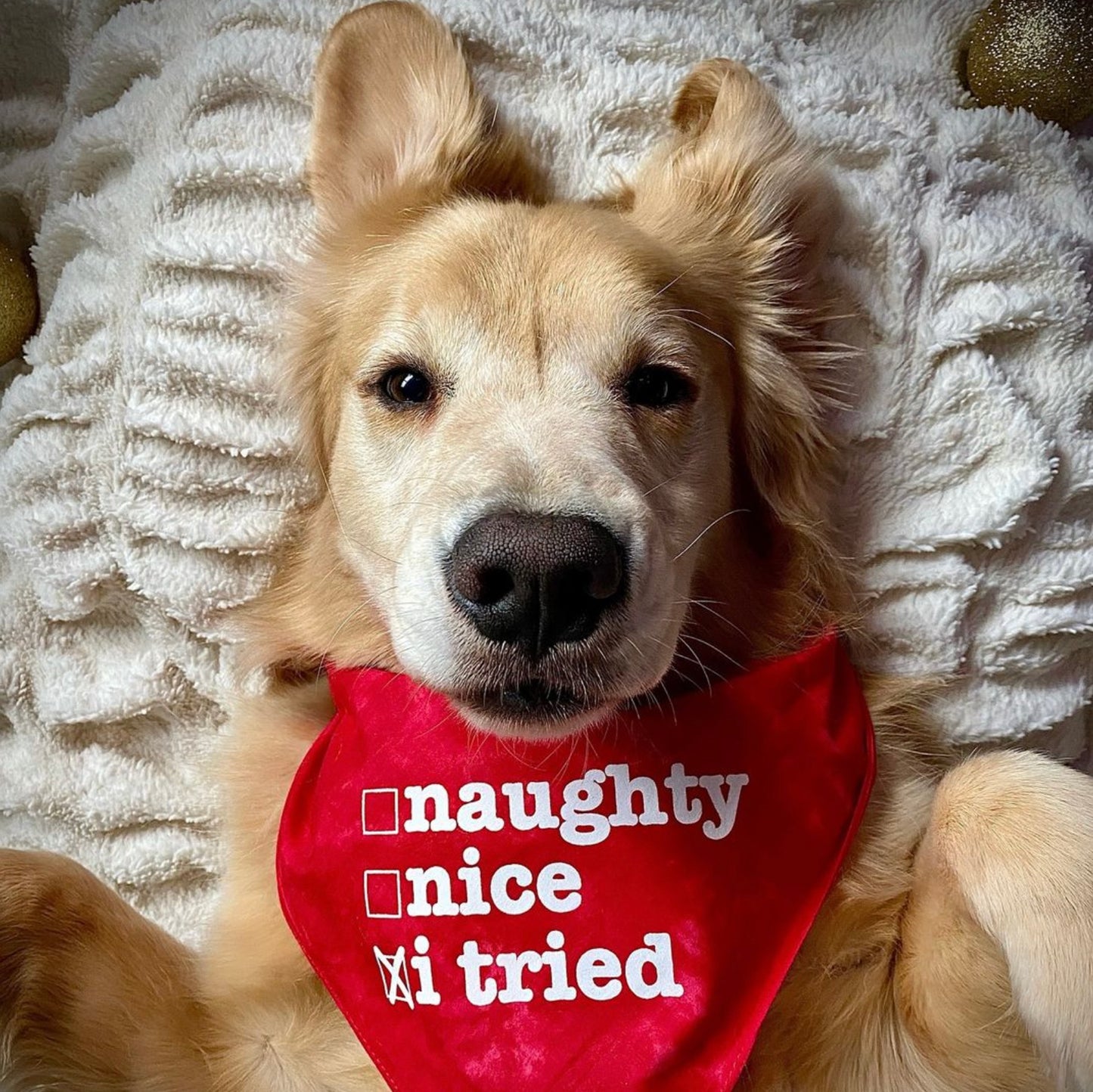 Naughty Nice Checklist Christmas Holiday Triangle Dog Bandana