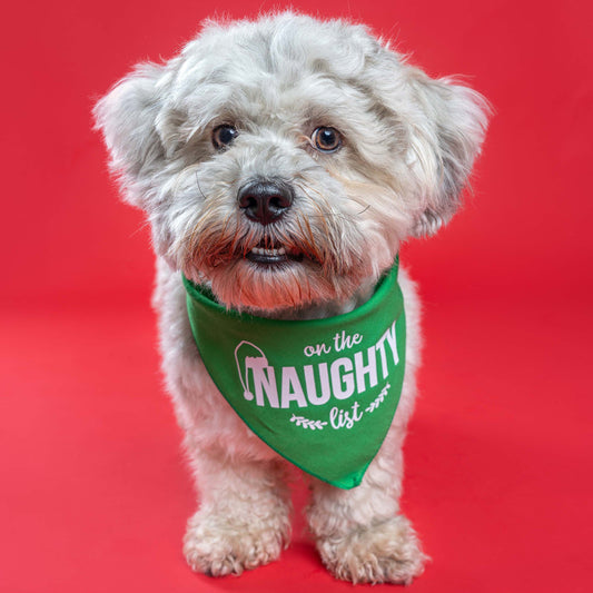 On The Naughty List Christmas Dog Bandana